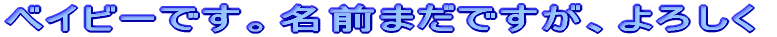 从qłB낵