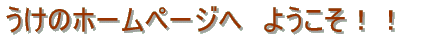 ̃z[y[Wց@悤Ⴂ܂ 